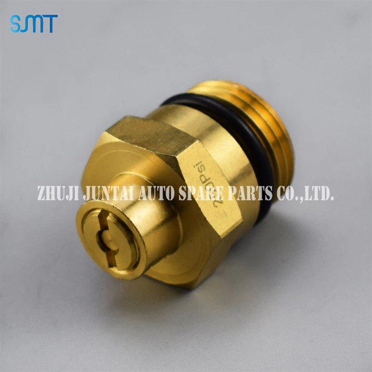 250 PSI Safety Valve suppliers